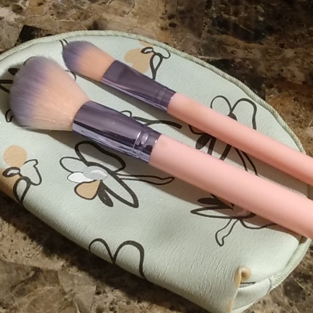 Makeup brushes w/makeup bag included